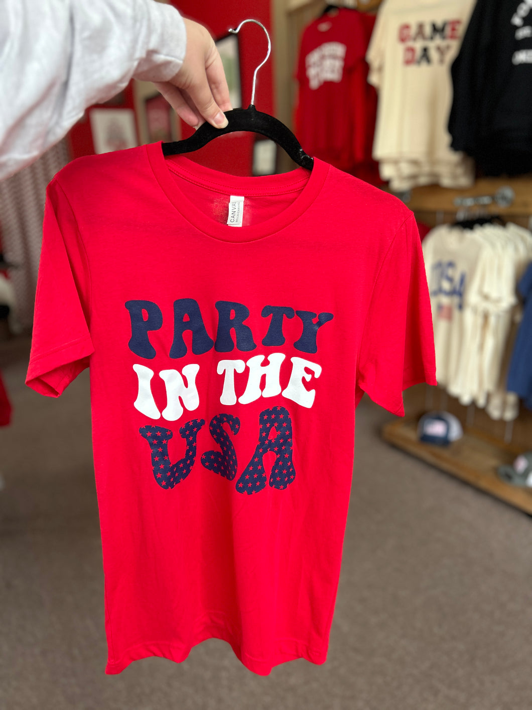 Party In the USA-TD