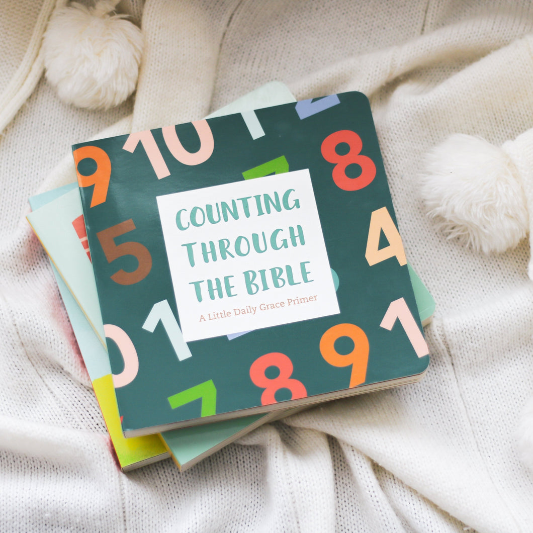 Counting Through the Bible Board Book