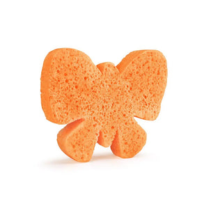 Sponge Animals Assorted Pack