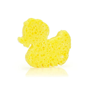 Sponge Animals Assorted Pack